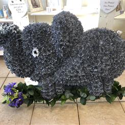 Elephant in 3D