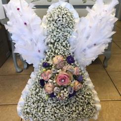 Angel Gyp with Feathers