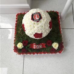 Any club Football 