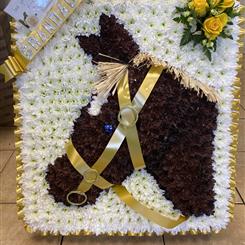 Horse head 