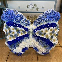 Blue Butterfly 
