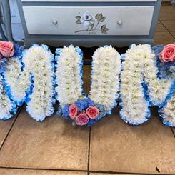 Pink &amp; Blue Mum 