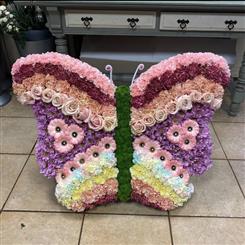 Special Butterfly