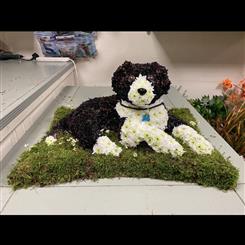 3D Dog 