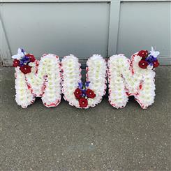 Red &amp; Blue MUM
