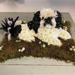 Shitzu Dog Tribute 