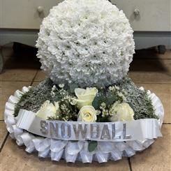 Snow ball 