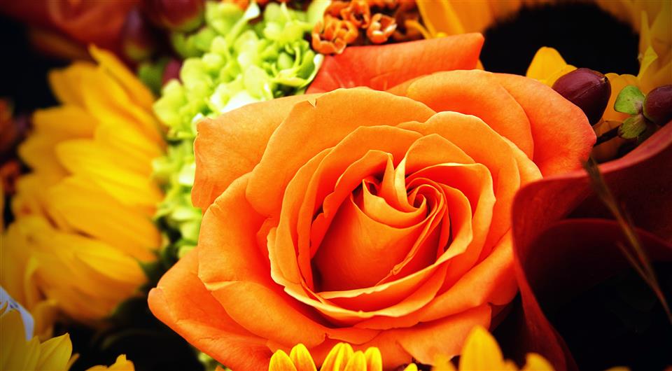Alexanders Florist Beckenham