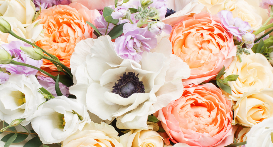 Alexanders Florist Beckenham